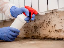 Biohazard Mold Removal in Olivet, NJ